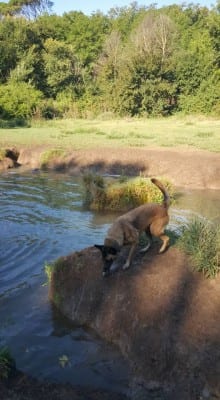 11960117_10207318894040653_4143423217126557952_n