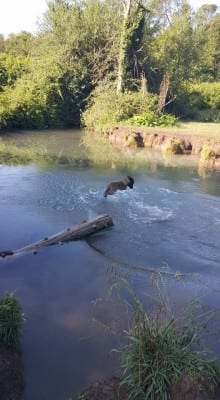 11933393_10207318891640593_7195409046983013438_n