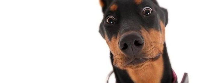 Il Caos dell’attivazione mentale…