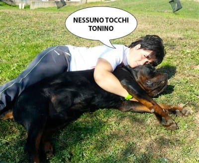 nessunotocchitonino