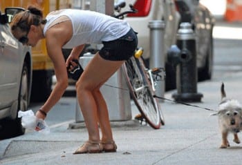 raccolta-escrementi-cane