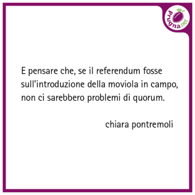 referendum