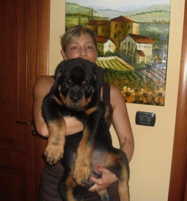 rott