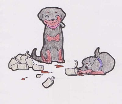 squadramorbidini_sambaedusa