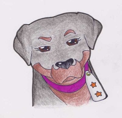 squadramorbidini_medusa