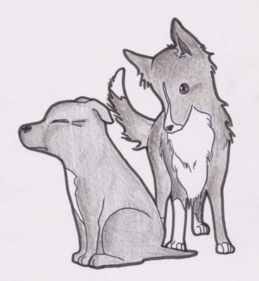 squadramorbidini_bibadestiny