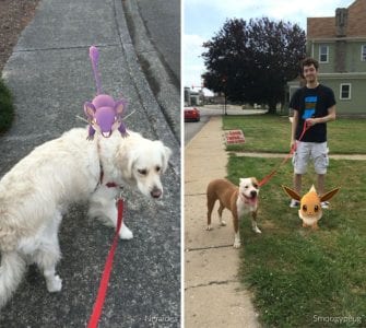 pokemon-go-dog-walking-animal-shelter-muncie-14-335x300