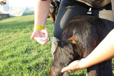 iniezione_intramuscolo