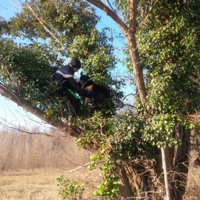 14287529_10205349040845229_1460904224_n