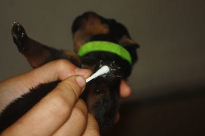 stimolazione_polpastrelli