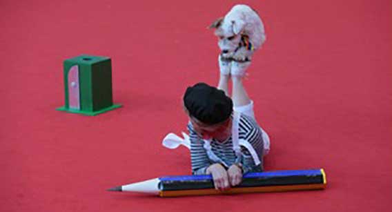 Ti presento… la Dog Dance – Il Freestyle